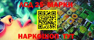 спиды Славгород