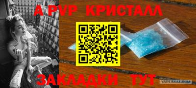 спиды Славгород