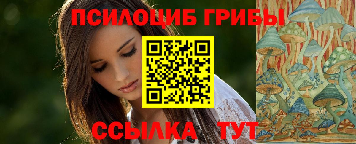Новочебоксарск  Псилоцибиновые грибы ЛСД  Вход с VPN 