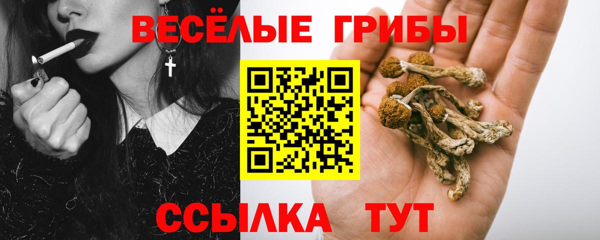 МДМА  Бошки Шишки  Вейп ТГК  Cocaine  ГАШ  Вход с VPN  Меф   Новочебоксарск  Alpha-PVP СОЛЬ кристаллы  НБОМе 